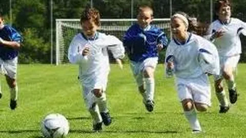 WM完美真人官网app 产品 083505 jwi