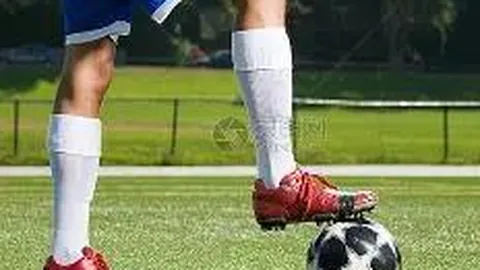 WM完美真人官网app 产品 084604 760