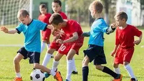 WM完美真人官网app 产品 084646 awb