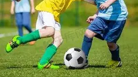 WM完美真人官网app 产品 084701 q5s