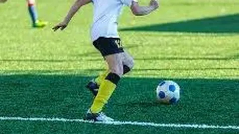 WM完美真人官网app 产品 084631 r7p