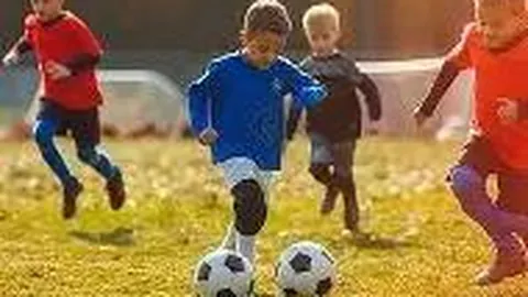 WM完美真人官网app 产品 084740 w0x