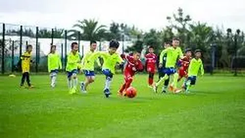 WM完美真人官网app 产品 084652 di4