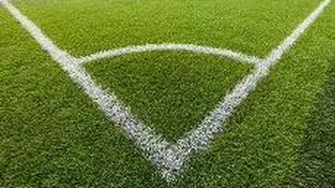 WM完美真人官网app