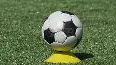 青岛海牛足球俱乐部澄清：与外援兰克尔·泽薪酬无拖欠事宜