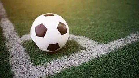 WM完美真人官网app 资讯 083748 vo3