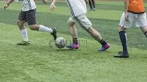 WM完美真人官网app 产品 083459 0vb