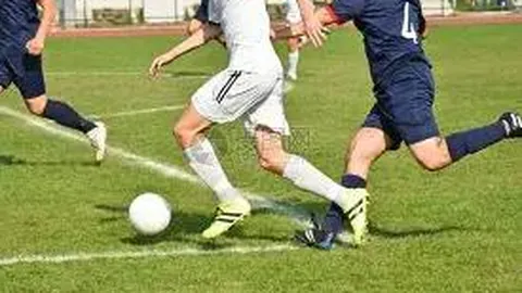 WM完美真人官网app 产品 083542 8du