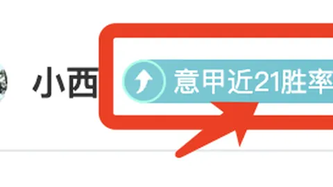 【独家揭秘】英冠赛事深度解析：精彩比分一网打尽！