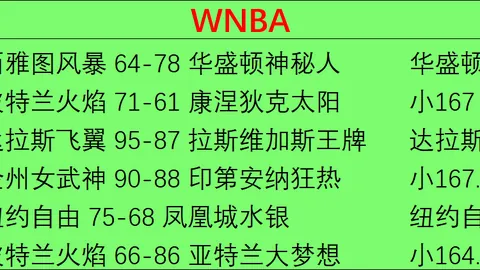 中国足球少年惜败阿尔克，WM完美真人娱乐，马尔青训营，荷兰杯决赛梦碎2026赛季